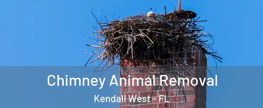  Chimney Animal Removal Kendall West - FL