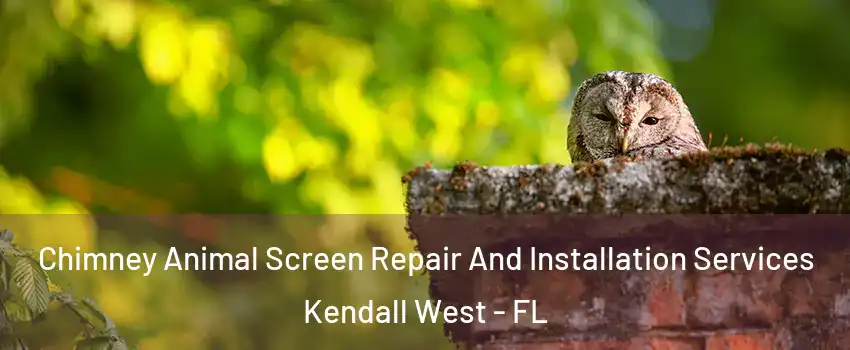  Chimney Animal Screen Repair And Installation Services Kendall West - FL