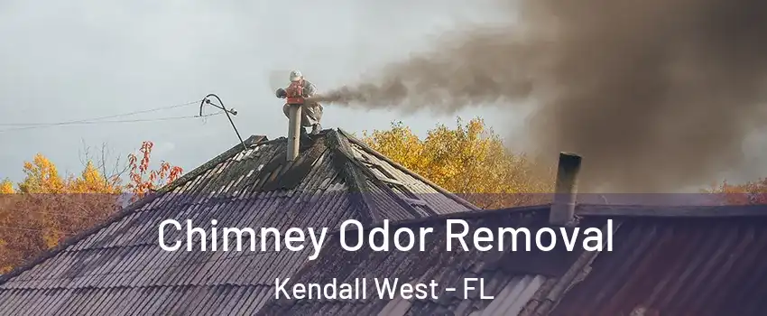  Chimney Odor Removal Kendall West - FL