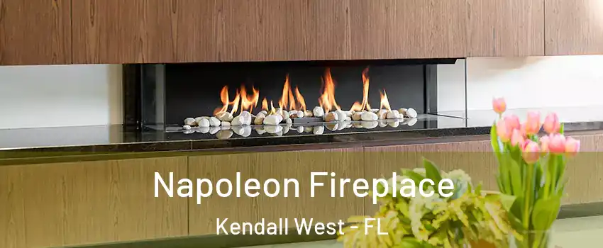  Napoleon Fireplace Kendall West - FL